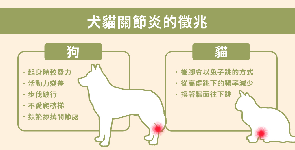 犬貓關節炎的徵兆