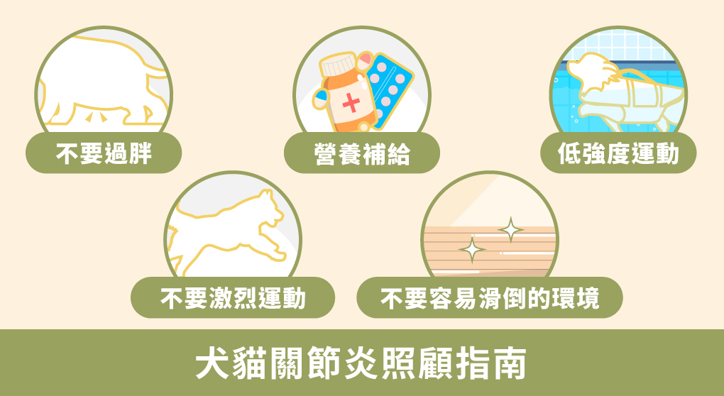 犬貓關節炎照顧指南