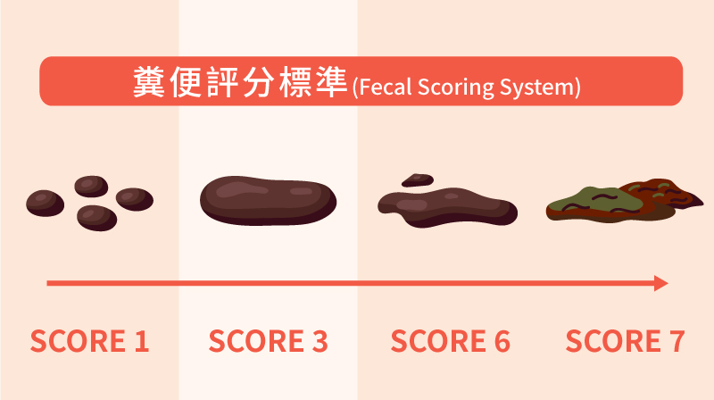 寵物糞便評分標準
