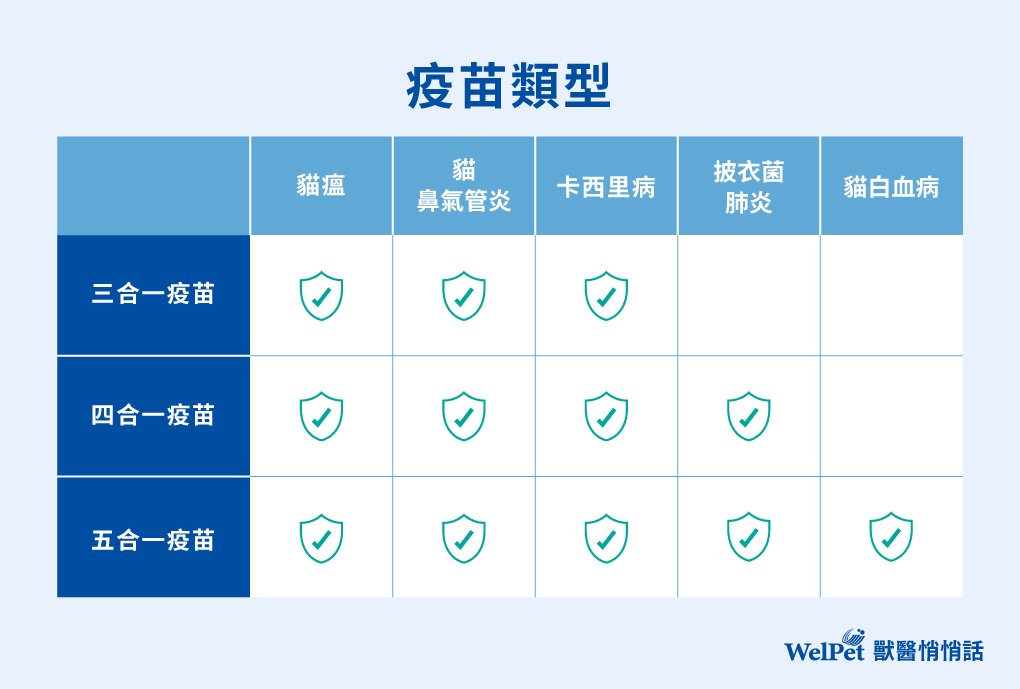 貓咪的疫苗類型