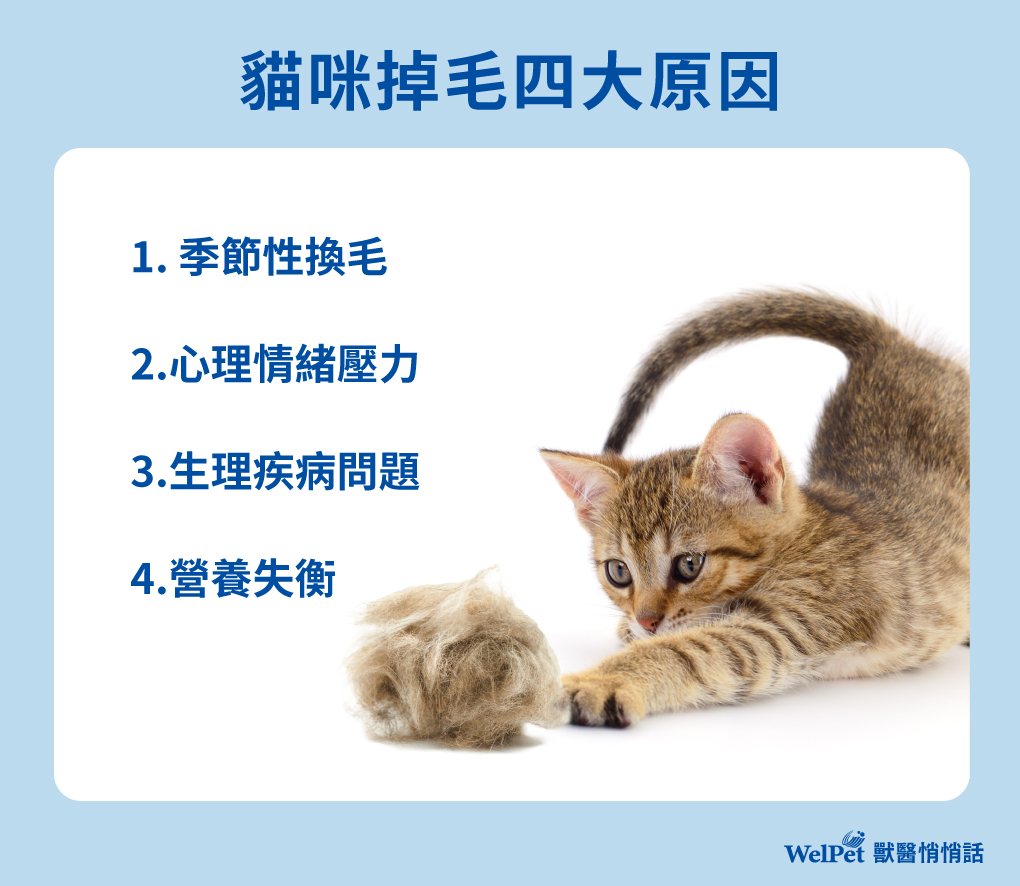 0416_逢源Banner_獸醫師專欄01