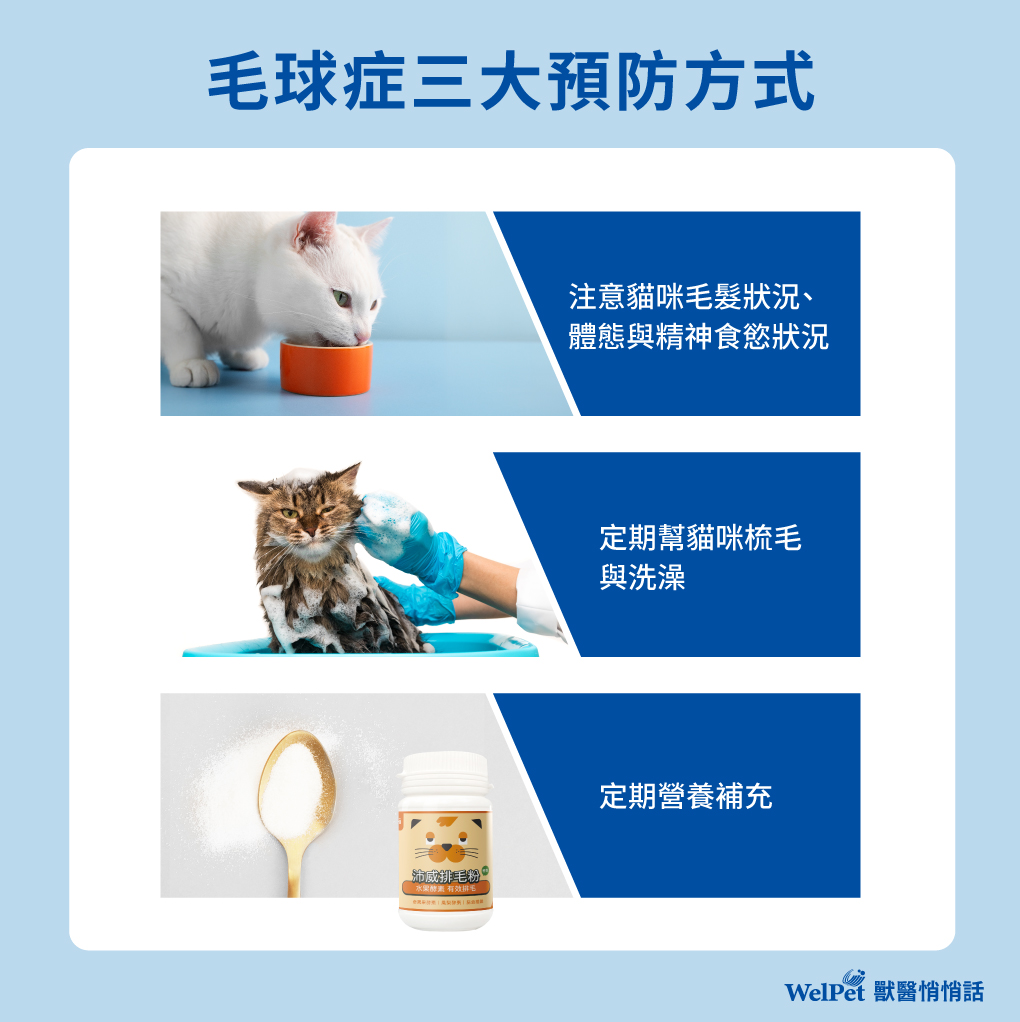 0416_逢源Banner_獸醫師專欄02
