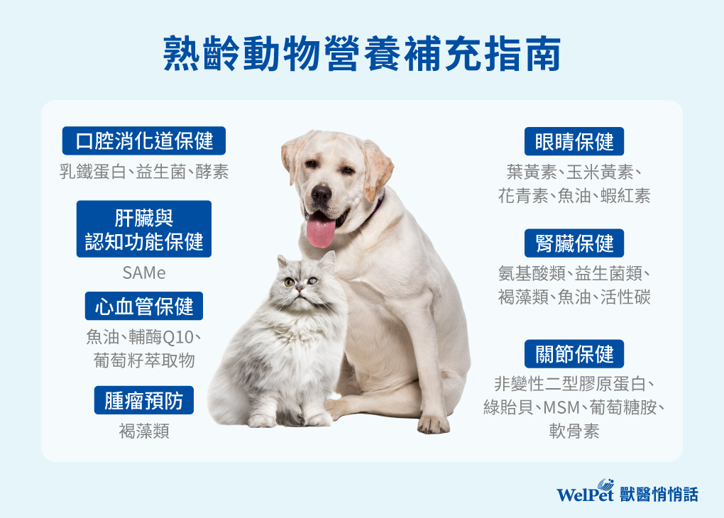 熟齡動物影養補充指南