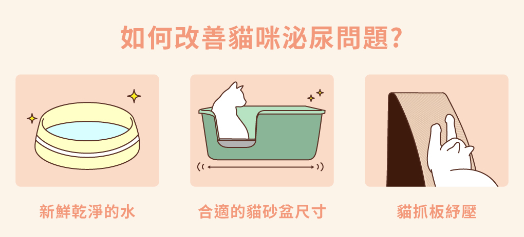 如何改善貓咪泌尿問題?