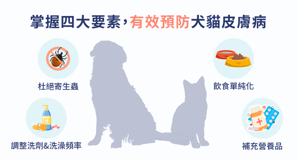 掌握四大要素,有效預防犬貓皮膚病