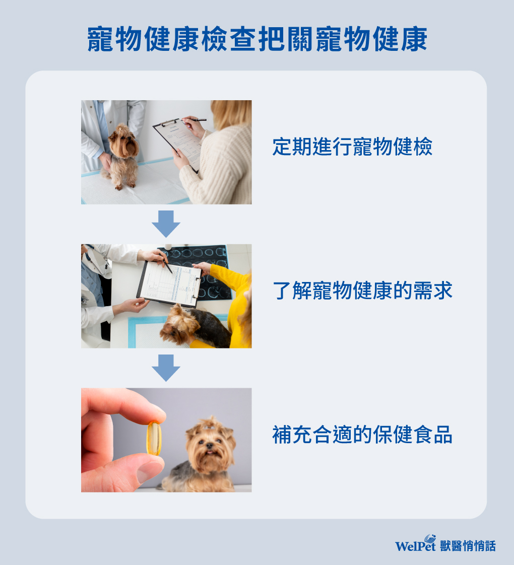 寵物健康檢查把關寵物健康