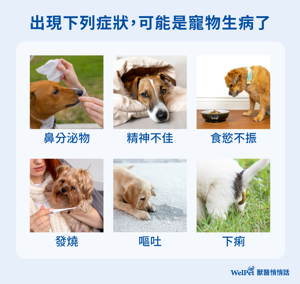 生理性噴嚏與病理性噴嚏的區分