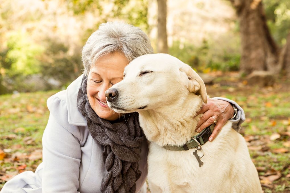 wel-pet 老貓老狗該怎麼保養?熟齡犬貓全方位健康照護指南